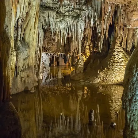 Apartment In Porec - Istrien 10417 Διαμέρισμα *